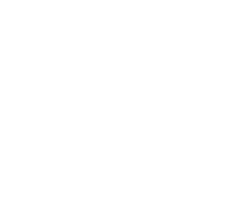 sc johnson asia pacific